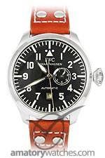 iwc sample image 2